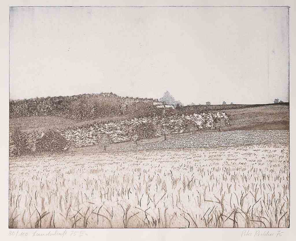 Landschaft 75 IIIa